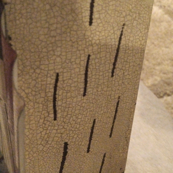 4@30.00 or 18.00 NWT Home Decor - Picture 12 of 16